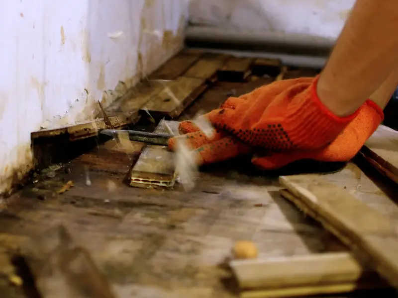 Mold abatement and prevention Billings MT